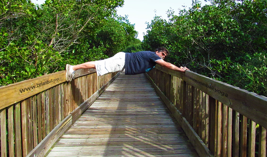 Extended Plank